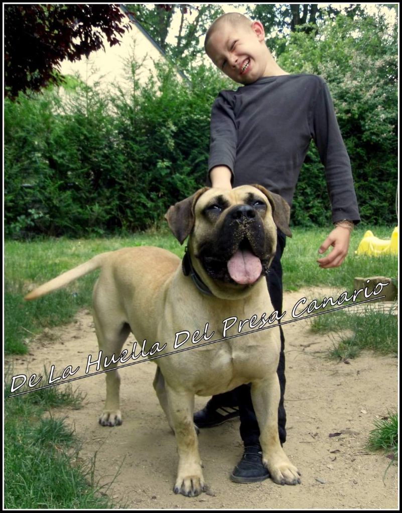 Hector De La Huella Del Presa Canario