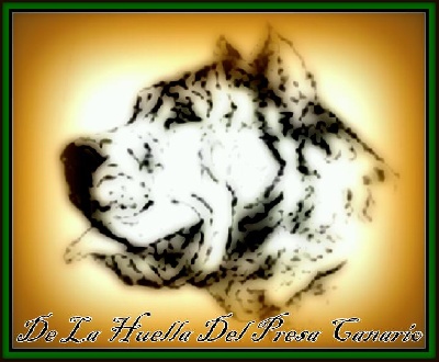 De La Huella Del Presa Canario